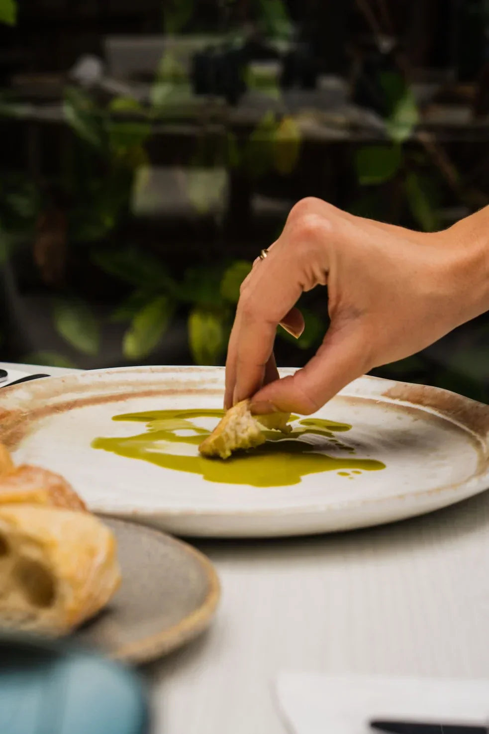 Why Spanish Extra Virgin Olive Oil is the Best in the World