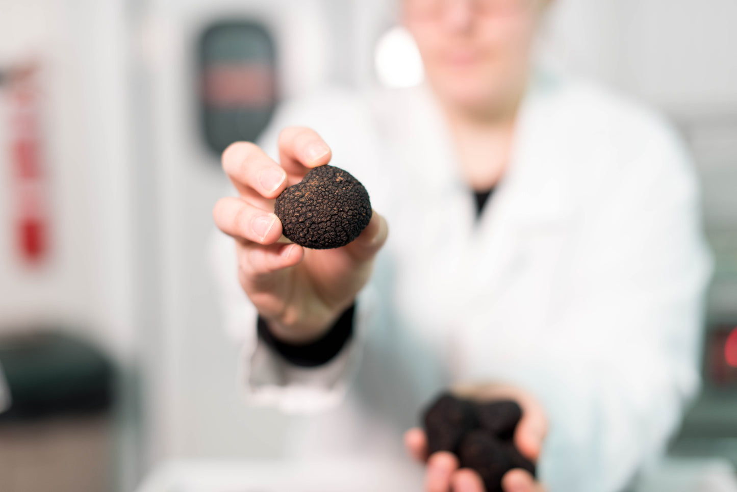 Fresh Black Truffle T.Melanosporum (Winter)