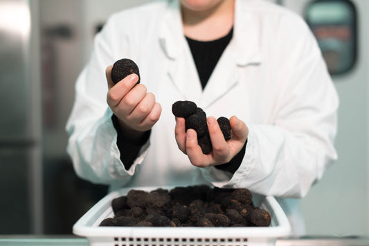 Fresh Black Truffle T.Melanosporum (Winter)
