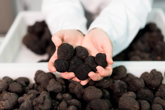 Fresh Black Truffle T.Melanosporum (Winter)
