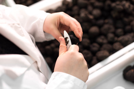 Fresh Black Summer Truffle T.Aestivum