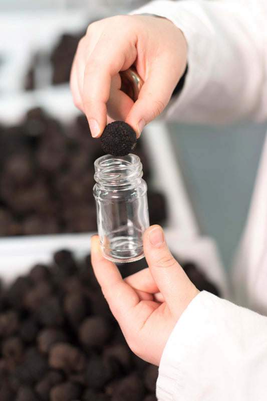 Preserved Whole Summer Truffle T.AESTIVUM 15GR